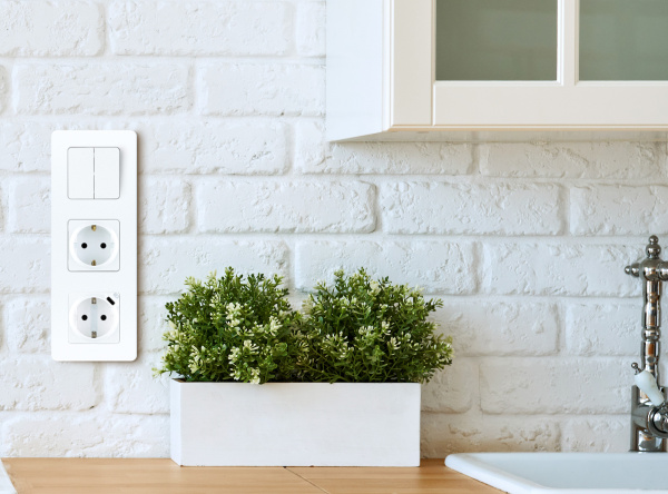 Купить Legrand INSPIRIA Белый Розетка 2К+З немецкий стандарт 16А 250В со встроенным зарядным устройством USB C 1.5А 5В 673770