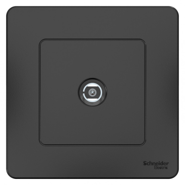 Systeme Electric Blanca внутр Антрацит Розетка TV