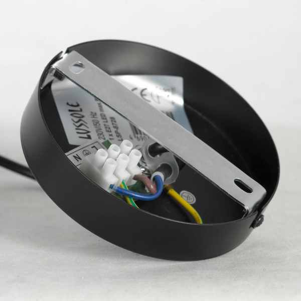 Купить Lussole LGO Подвесной светильник металл черный GRLSP-8728