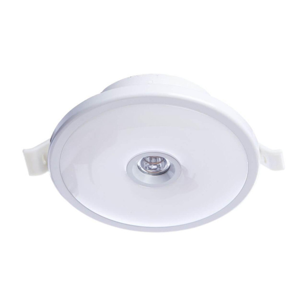 Arte Lamp VERSUS Потолочные светильники A2517PL-2WH