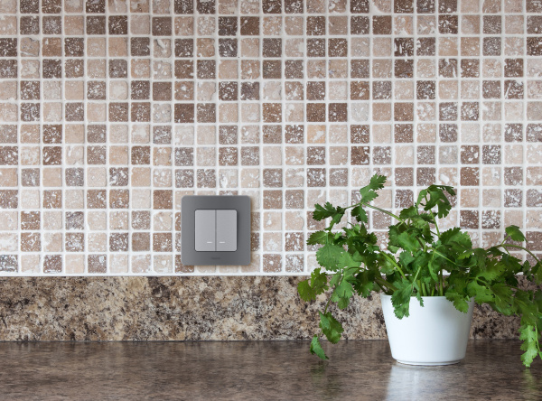 Купить Legrand INSPIRIA Алюминий Выключатель двухклавишный с подсветкой/индикацией 10 AX - 250 В 673632