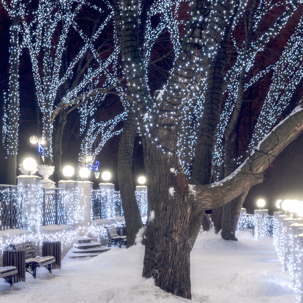 Купить Arlight Светодиодная гирлянда ARD-STRING-CLASSIC-10000-BLACK-100LED-STD WHITE (230V, 7W) (Ardecoled, IP65) 025796