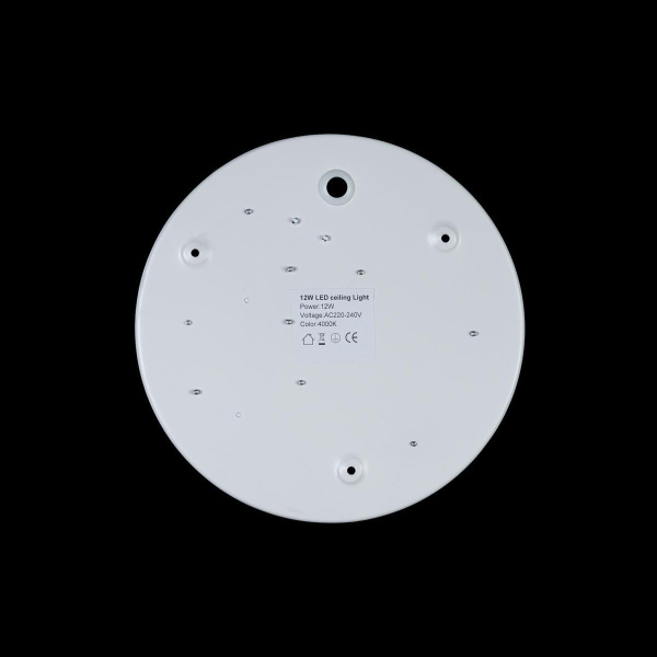 Купить LOFT IT 10002/12 White Светильник потолочный Axel, шт