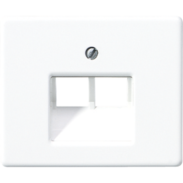 JUNG SL 500 Белая Накладка 2-ой наклонной ТЛФ/комп розетки SL569-2UAWW