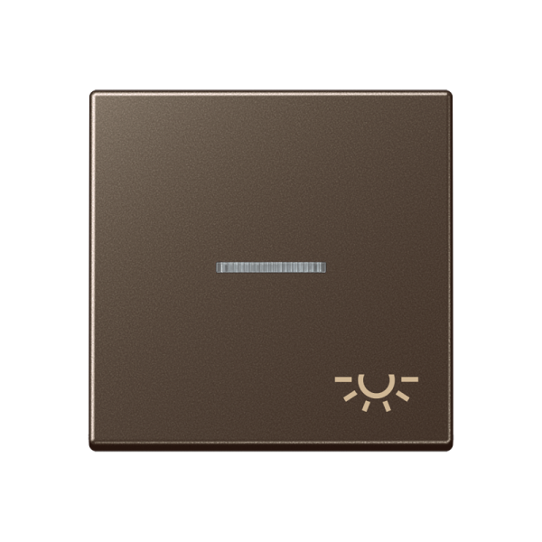 JUNG клавиша с символом "свет" с линзой, мокка A590KO5LMO