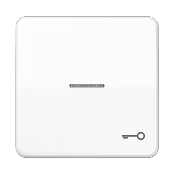 JUNG CD 500/CD plus Белая Клавиша 1-ая с/п с символом КЛЮЧ CD590KO5TWW