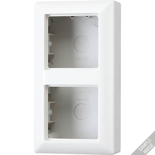 JUNG AS 500 Бежевая Коробка 2-ая для накладного монтажа AS582AW