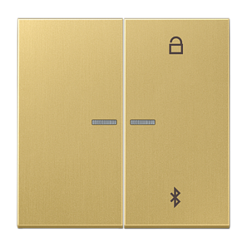 JUNG Таймер универсальный Bluetooth, латунь Classic ME1751BTC