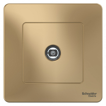 Systeme Electric Blanca внутр Титан Розетка TV