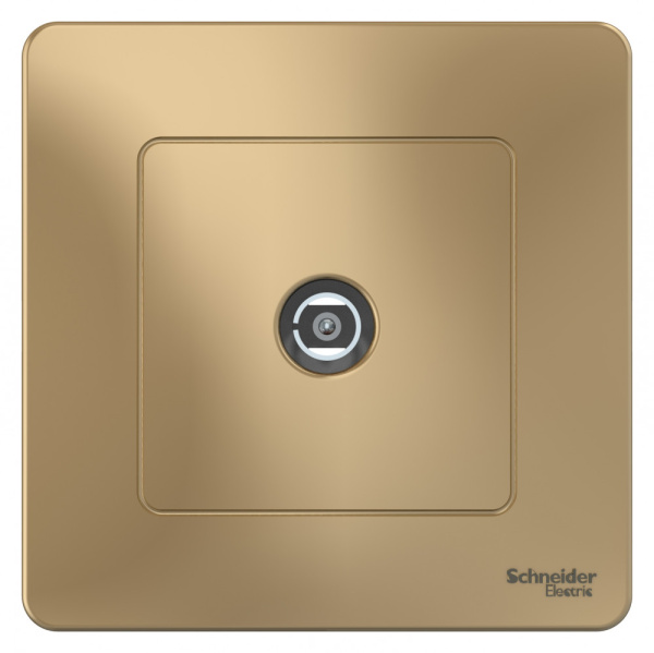 Systeme Electric Blanca внутр Титан Розетка TV