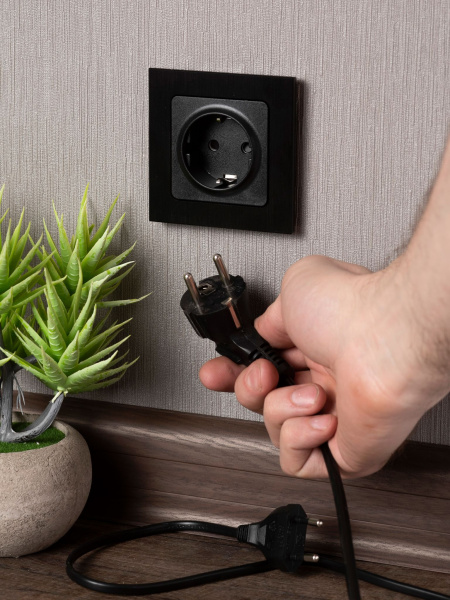 Купить EKF PROxima Стокгольм Черный Розетка с/з, о шторками, 16А