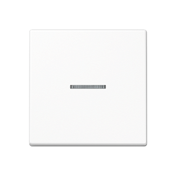 JUNG Клавиша для KNX кнопки, 1 группа, с окошком термопласт белый A101KO5BFWW