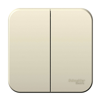 Systeme Electric Blanca наруж Молочный Выключатель 2-клавишный, 10А, 250B