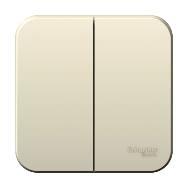 Systeme Electric Blanca наруж Молочный Выключатель 2-клавишный, 10А, 250B