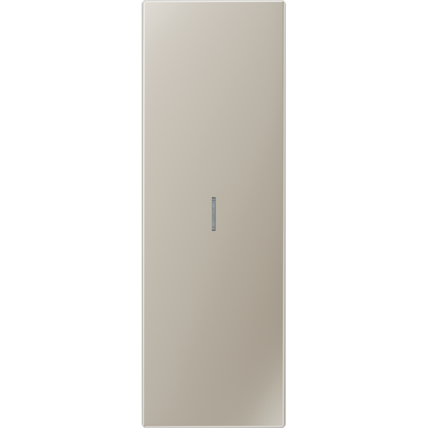 JUNG запасная часть для клавиши, нержавеющая сталь ES2993KO5