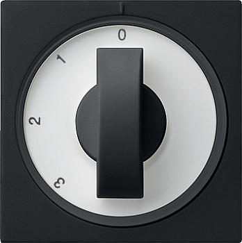 Gira Накладка с ручкой для трехступенчатого переключателя 0669005