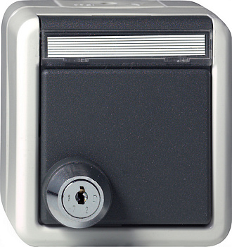 Gira Розетка с запирающейся на ключ крышкой IP44 (выбранные замыкания) 044730