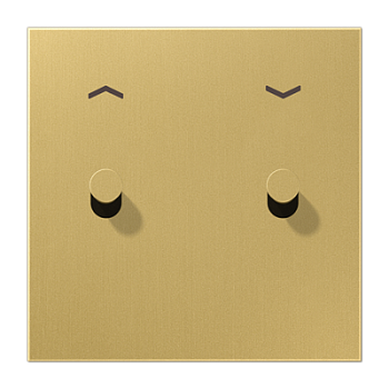 JUNG LS1912 Латунь классик Центральная плата с символом «стрелки», 1 пост, 2 тумблера,конус; метал. исполнение ME12-5PCK25