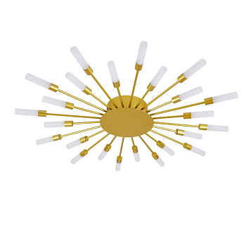 Arte Lamp MAPLE Светильник потолочный галоген A1276PL-24GO