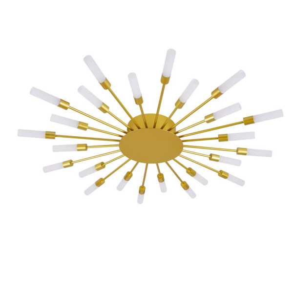 Arte Lamp MAPLE Светильник потолочный галоген A1276PL-24GO