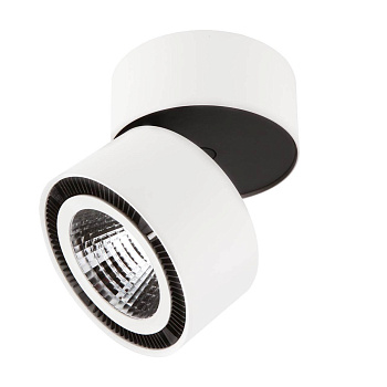 Lightstar Светильник накладной заливающего света со встроенными светодиодами Forte Muro Lightstar 214816