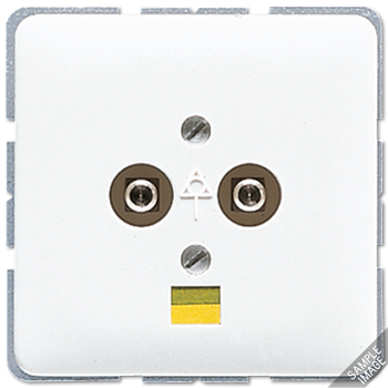 JUNG Штепсельная розетка для выравнивания потенциалов 565-2