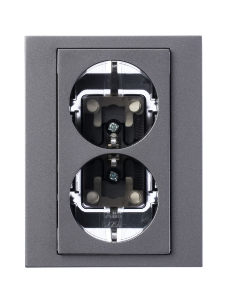 Купить ABB EPJ Levit сталь / дымчатый чёрный Розетка двойная с заземл, со шторками 2CHH223457C6069
