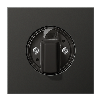 JUNG Антрацит Накладка поворотного механизма AL1941AN