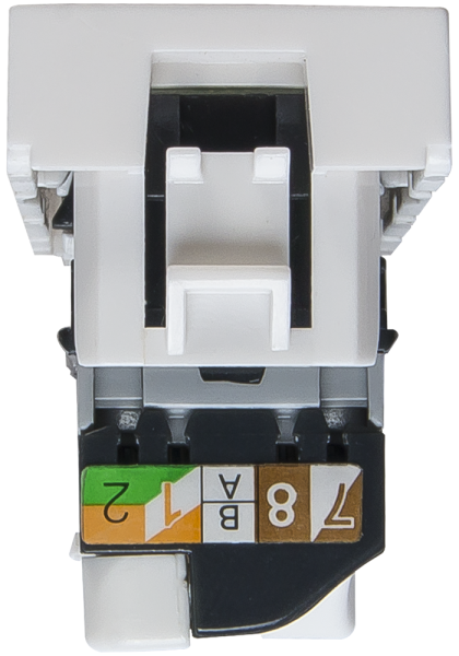 Купить SPL Розетка RJ 45 Mosaic категория 5е UTP 1 модуль белая (076551 - SPL - 200006)
