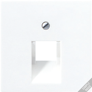 JUNG A 500 Шампань Накладка 1-ой наклонной ТЛФ/комп розетки A569-1PLUACH