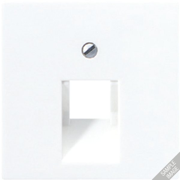 JUNG A 500 Шампань Накладка 1-ой наклонной ТЛФ/комп розетки A569-1PLUACH