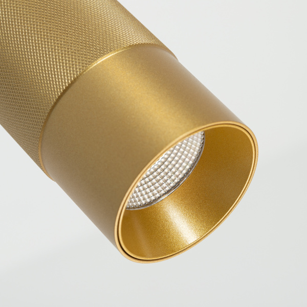 Купить Arlight Светильник SP-SPICY-HANG-R70-13W Warm3000 (GD, 50 deg, 230V) (IP20 Металл, 3 года) 033670