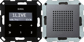 Gira S-55 Антрацит Радиоприемник скрытого монтажа с функцией RDS 228028