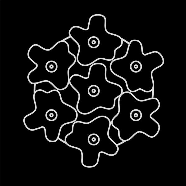 Купить Lightstar Люстра потолочная Nubi Lightstar 802070