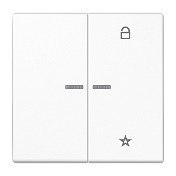 JUNG Центральная плата универсальная, белый LS1701WW