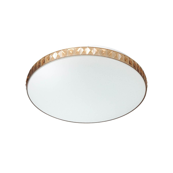 Купить Sonex 2078/DL SN 062 св-к DINA AMBER пластик LED 48Вт 3000-6000K D390 IP43 пульт ДУ