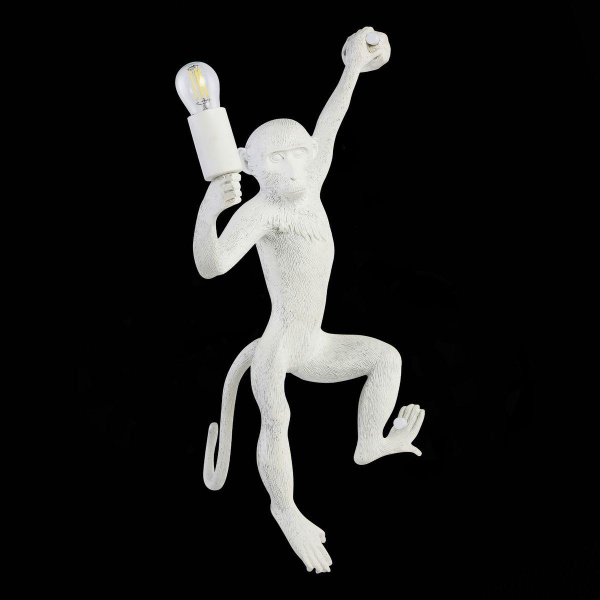 Купить Evoluce SLE115111-01 Светильник настенный Белый E27 1*60W