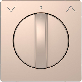 SE Merten D-Life Шампань Накладка центральная для поворотного мех-ма рольставней MTN3875-6051