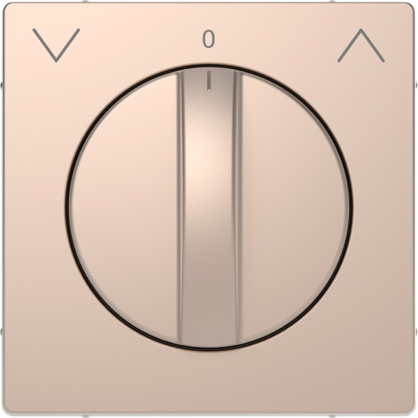 SE Merten D-Life Шампань Накладка центральная для поворотного мех-ма рольставней MTN3875-6051