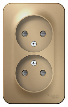 Systeme Electric Blanca наруж Титан Розетка 2-ая б/з со шторками 16А, 250В, изолир. пластина