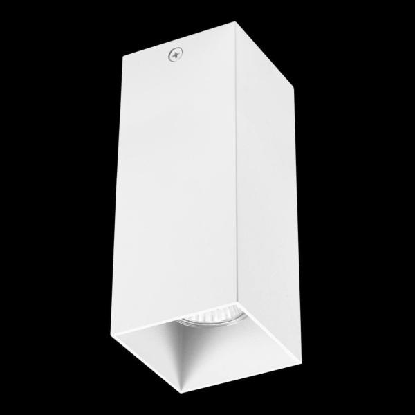 Купить Lightstar Светильник точечный накладной декоративный под заменяемые галогенные или LED лампы Rullo Lightstar 216386