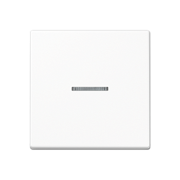 JUNG Клавиша для KNX кнопки, 1 группа, с окошком дюропласт белый A101KO5WW