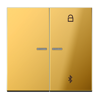 JUNG Таймер универсальный Bluetooth, имитация золота GO1751BT