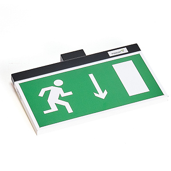 Белый свет Световой указатель BS-FIRMUS-10-S1-ELON Black a19357