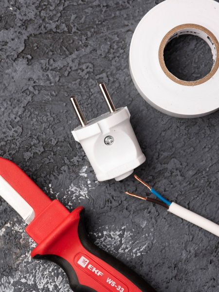 Купить EKF PROxima Вилка прямая б/з бел. 6А 250В