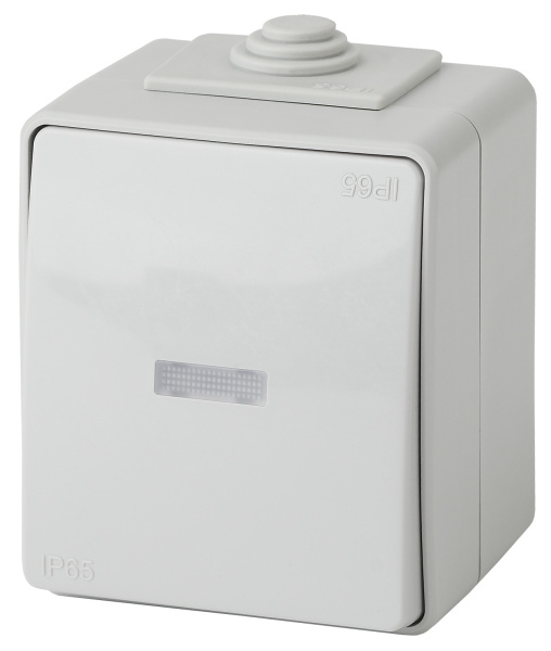 ЭРА 11-1602-03 Эксперт Серый Выключатель 1-кл с подсветкой ОУ IP65