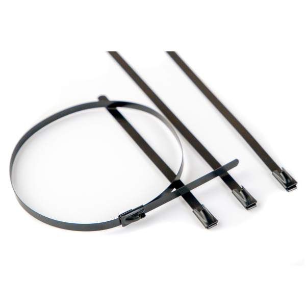 DKC Хомут 4.6x100. Сталь ANSI 304. С EP покрытием