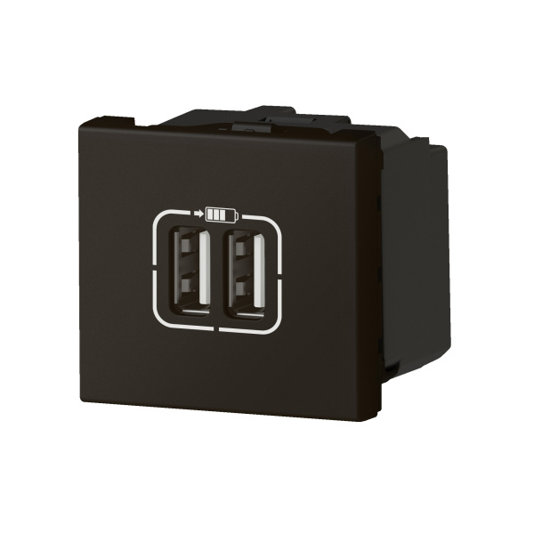 Купить Legrand Mosaiс Розетка USB А+А для зарядки двойная - Программа Mosaic - 2 модуля - матовая черная 079194L