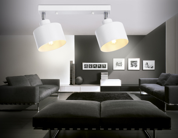 Купить Ambrella Настенно-потолочный спот в стиле лофт TR8141/2  WH белый E27*2 max 40W 340*120*180