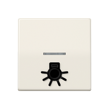 JUNG Клавиша с окошком для подсветки и символом "свет" слоновая кость ABAS591L1KO5